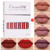 lipstick set Of Matte Non-stick Cup Waterproof Lipstick Long Lasting Lip Gloss - CINCHWIERD 